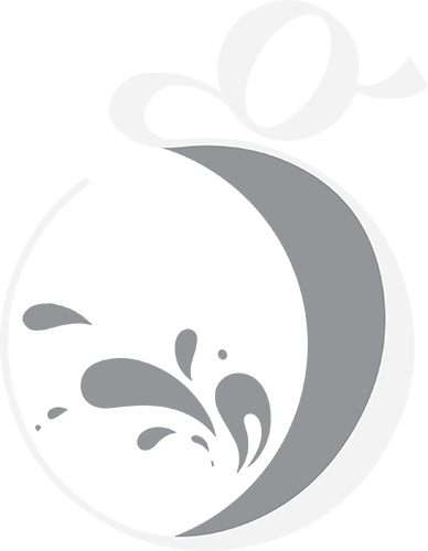 Gravity Logo